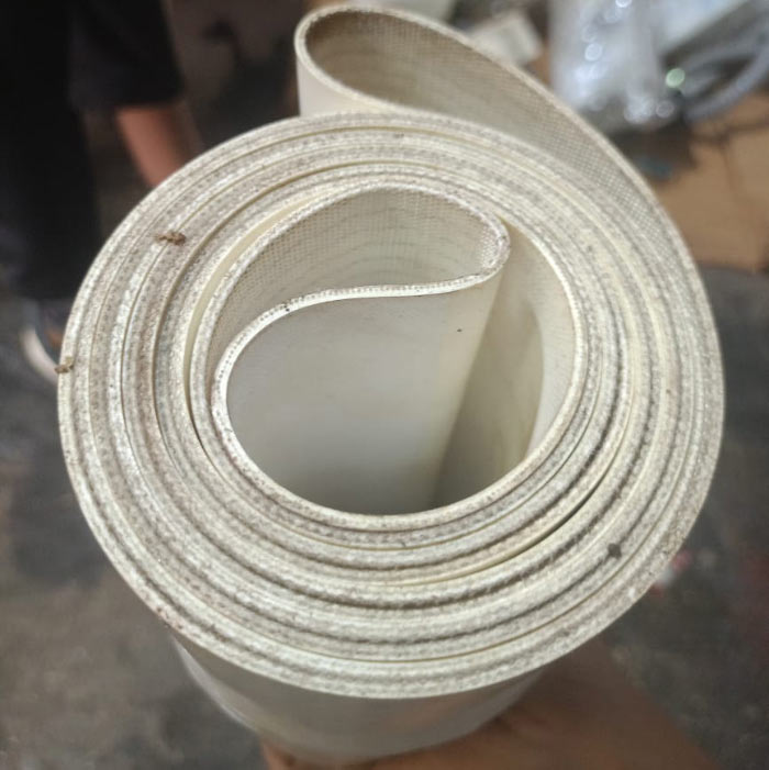 Belt Oil Skimmer in India